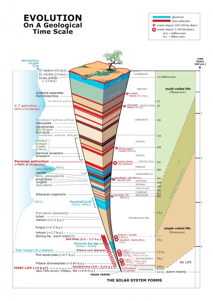 Evolution timescale poster