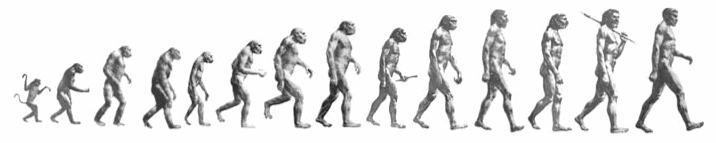 Primates progression timeline